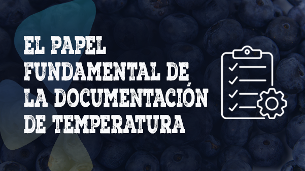 El papel fundamental de la documentación de temperatura en el envío de productos agrícolas