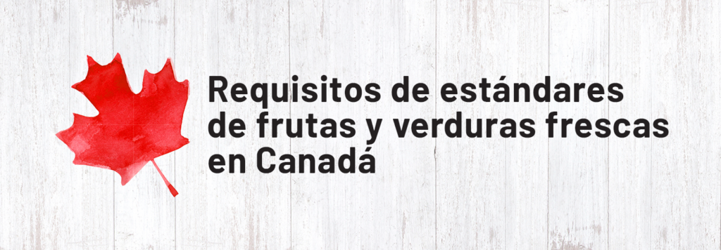 REQUISITOS DE ESANDARES