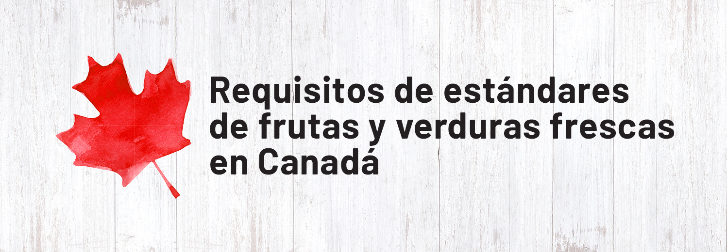 REQUISITOS DE ESANDARES