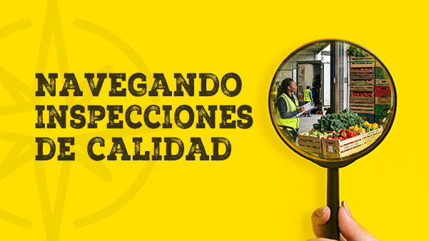 Navegando inspecciones de calidad